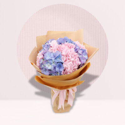 Beautiful Hydrangea