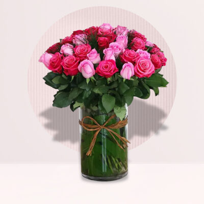 Lavish Pink Roses in Cylinder