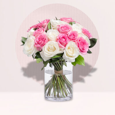 Lovely Pink and White Roses