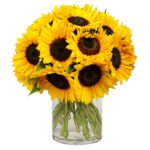 12 Sunflower in Vase