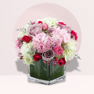 order hydrangea flower online