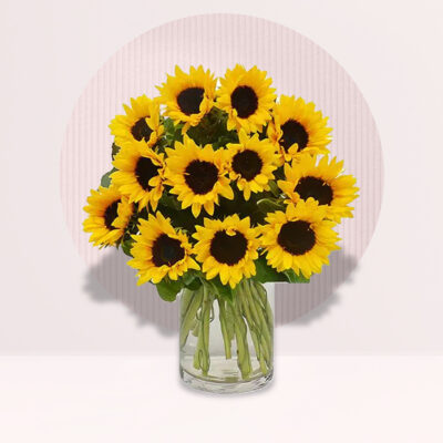 18 Sunflower in Vase