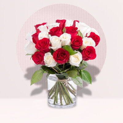 Lovely Red and White Roses