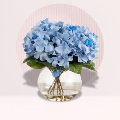 Light Blue Hydrangea in Fish Bowl