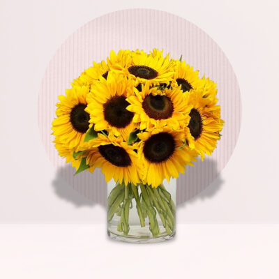 12 Sunflower in Vase