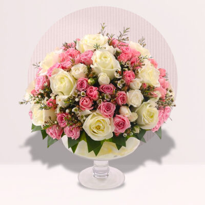 Elegance Roses