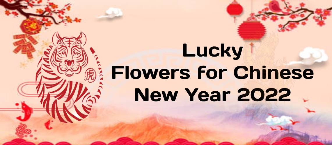 Lucky Flowers for Chinese New Year 2022 Wenghoa