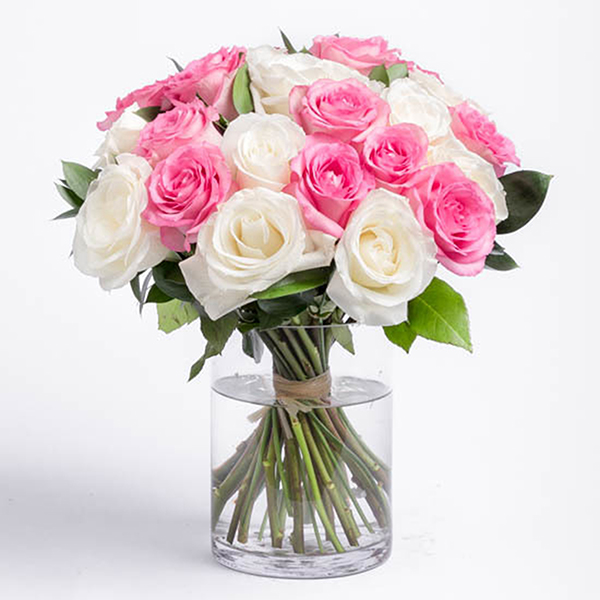Lovely Pink and White Roses Delivery Online Buy Flowers Online