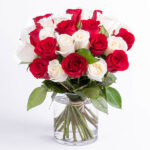 Red and White Roses in a glass vase.