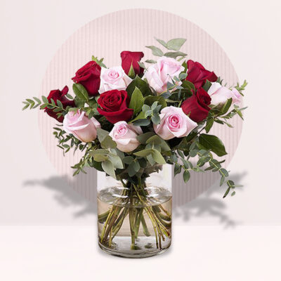 Peace of Red and Pink Roses