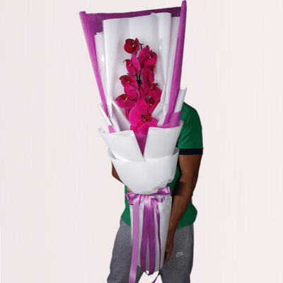 Single Stem Purple Phalaenopsis - Cut Flowers