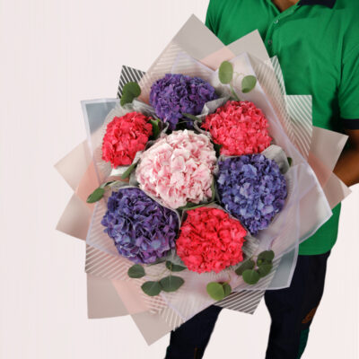 Purple and Pink Hydrangeas