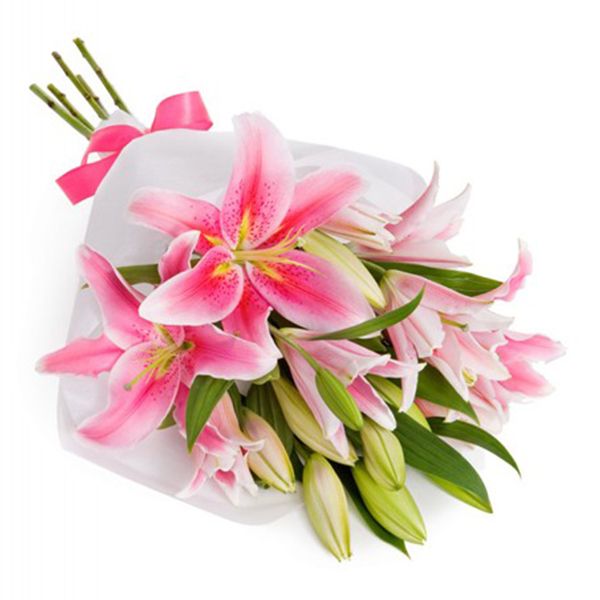 Treasured Pink Lilies Wenghoa