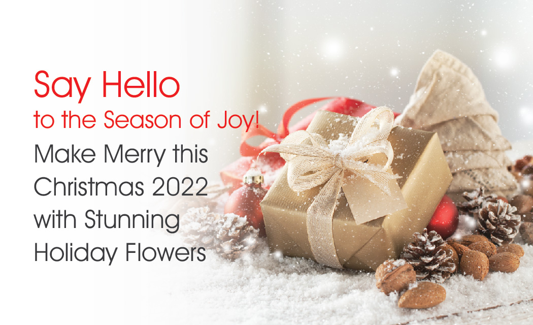Best Christmas Flower Gifts Ideas in 2022 Wenghoa