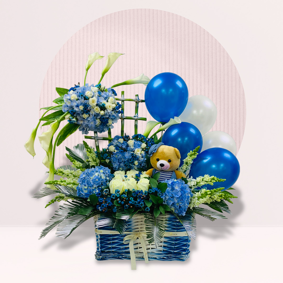 Order Baby Boy Gift Basket Online Best Online Florist Kl