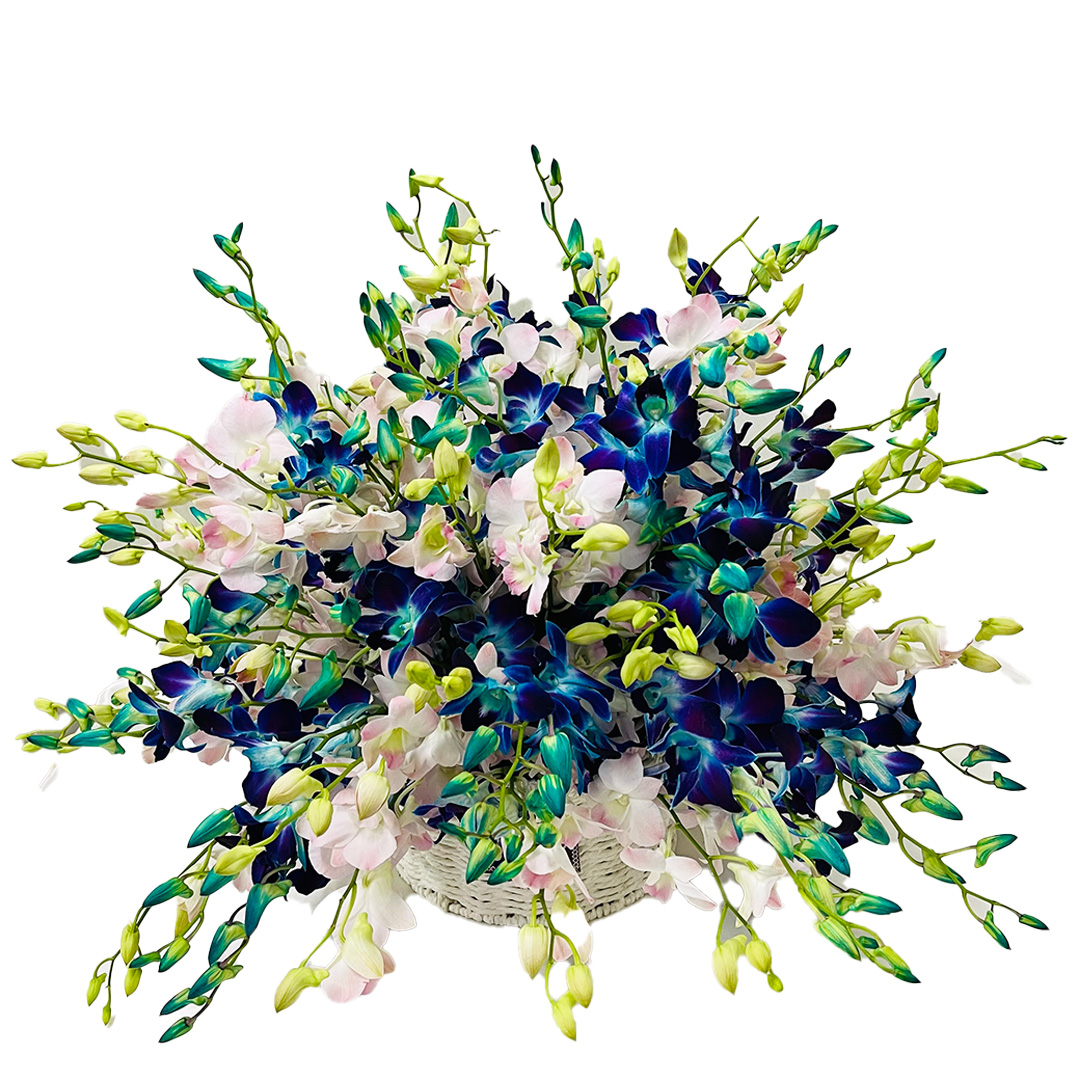 Order Orchid Basket Online Best Flower Basket Delivery KL