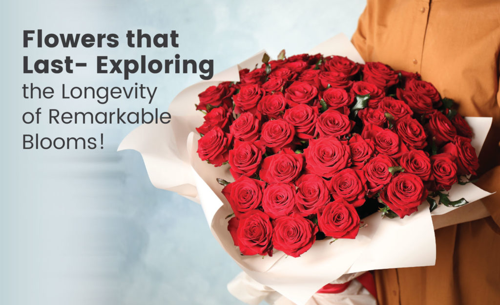 Ever Lasting Flowers The Remarkable Longevity of Flowers