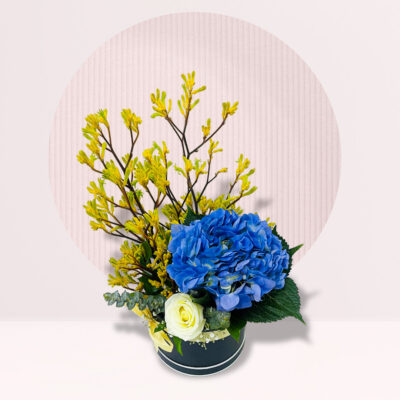 Blissful Box of Blue Hydrangea