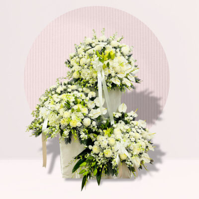 Graceful White Tribute