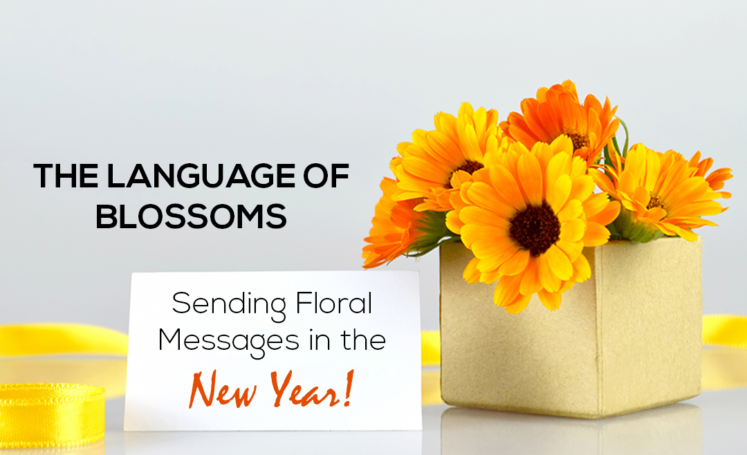 Small Message Flower Sending Floral Messages in the New Year Flowers | Wenghoa