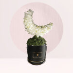 shop boxed bouquet online in kl