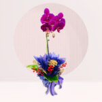 order purple orchid online in kl