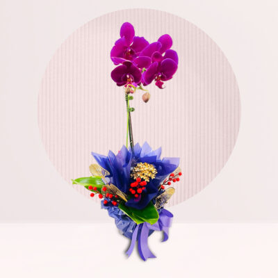 order purple orchid online in kl