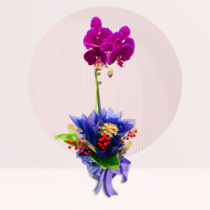 order orchids for 520 day