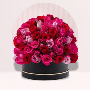 a large arrangement of red and pink roses in a black round box with a gold stripe around the base.