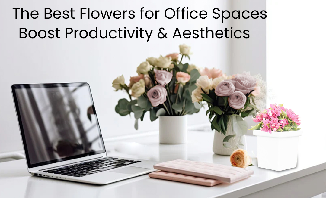 Did You Know About The Benefits of These Office Plants?