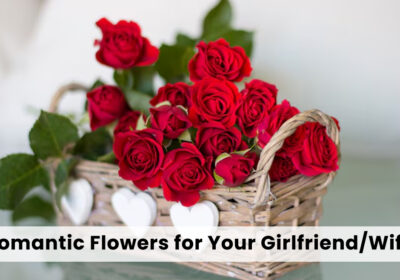 Not sure which flowers to give your wife or girlfriend? Read this blog to discover the most romantic love flowers and perfect floral gifts for her.